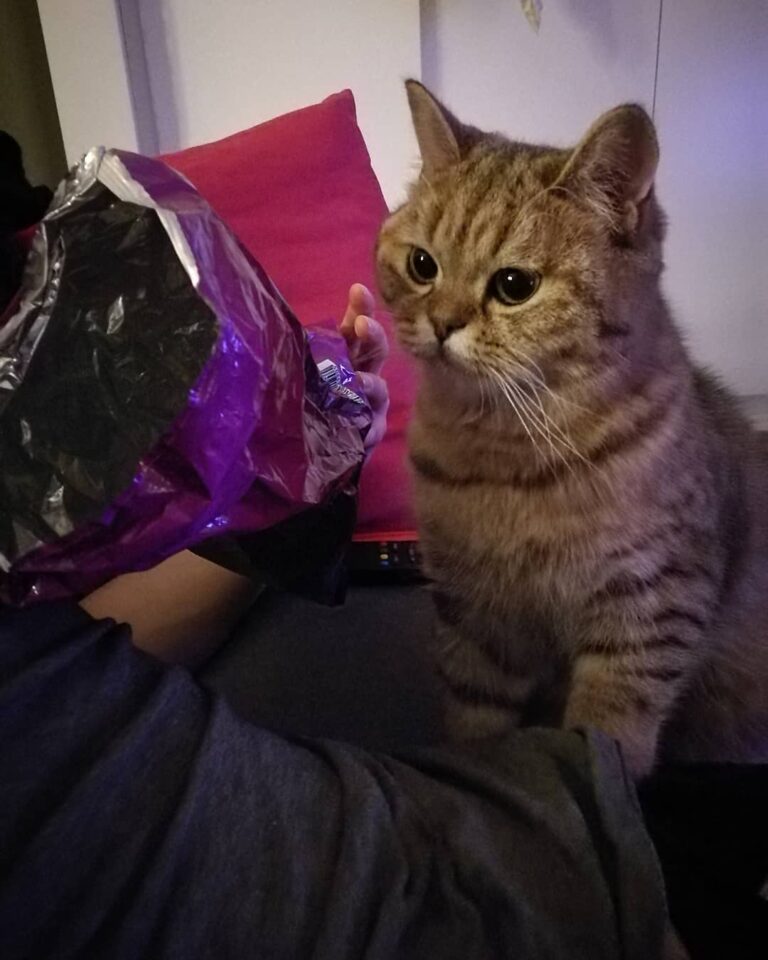 What have we here? Chips! Can I have some?
