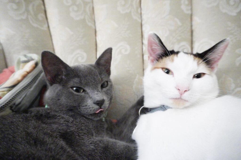 What you want human? . . . . . . . . . . . . . . . . . . . . . . .