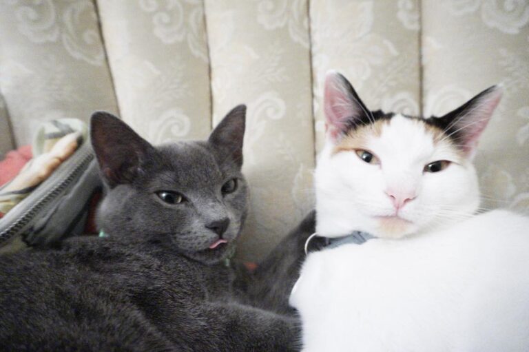 What you want human? . . . . . . . . . . . . . . . . . . . . . . .
