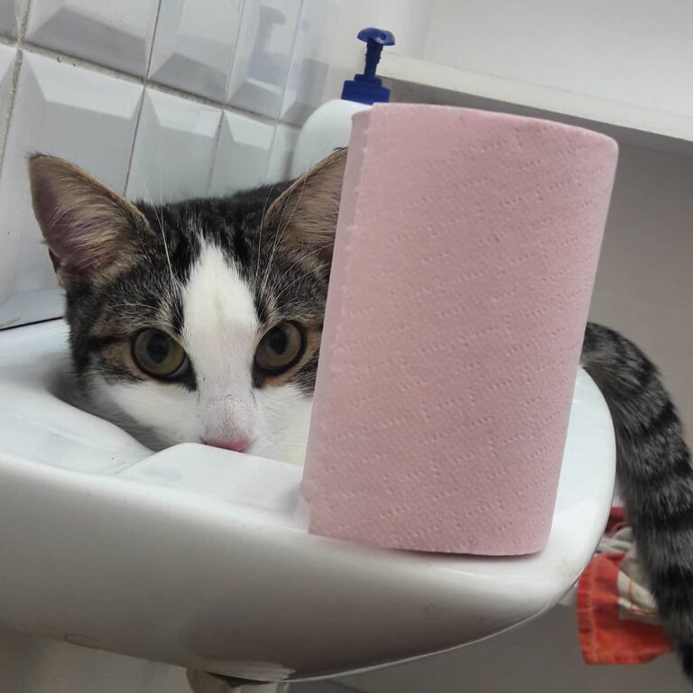 You can’t see mum