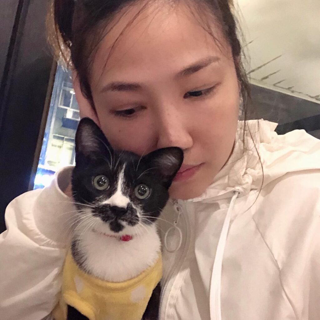 #猫 #猫目ヂカラ王選手権