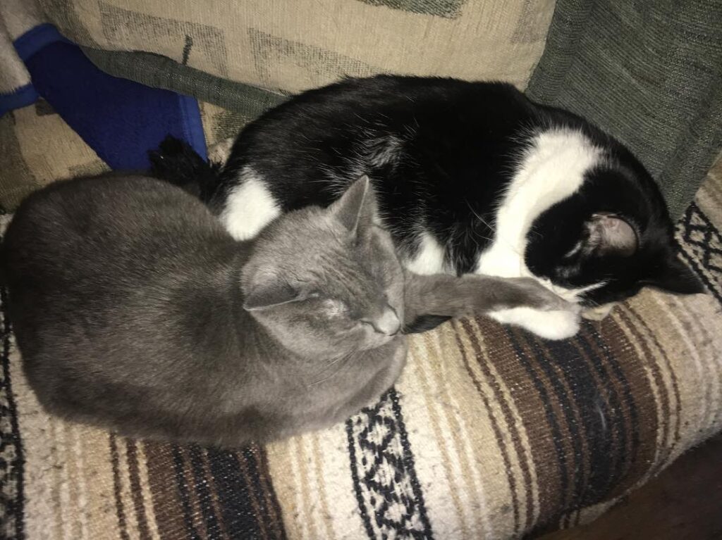 Holding hands