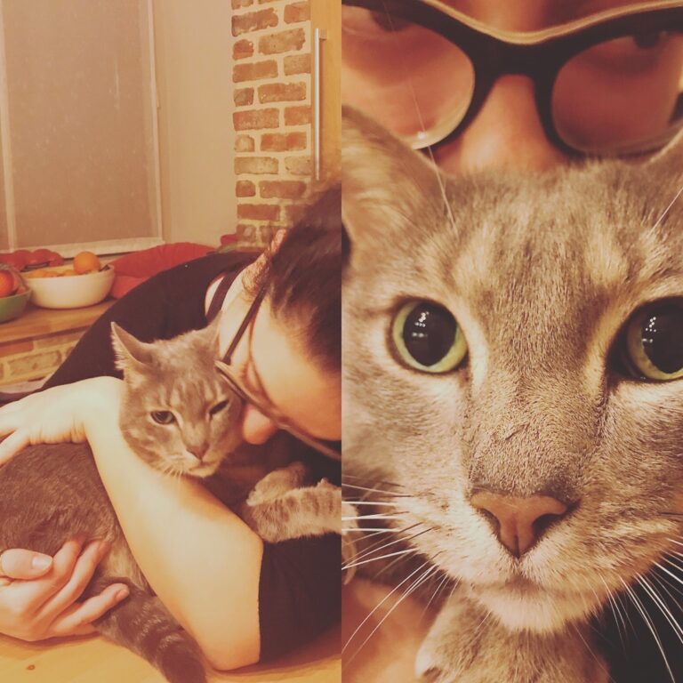 | Mr. Mouse… purring for kisses & hugs