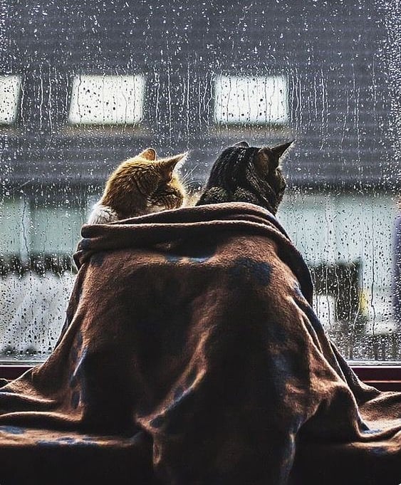 Rainy days . . . .