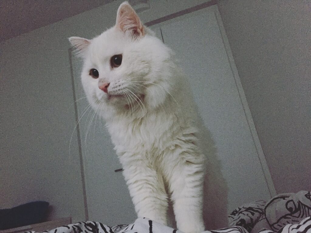Time to wake up . . . . . . . . . . .