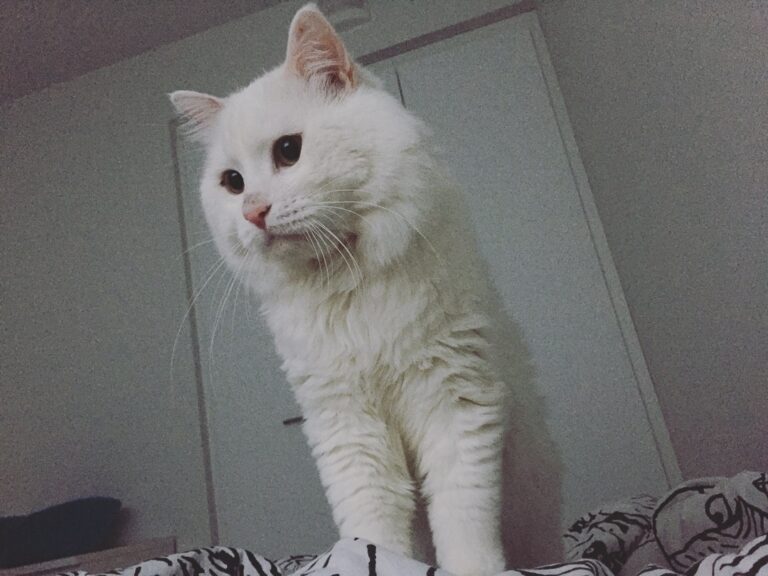 Time to wake up . . . . . . . . . . .