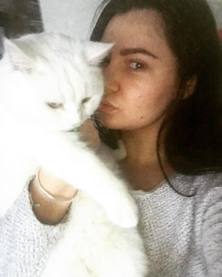 Бесконечная любовь к этим пушистым созданиям . . . . #моякошка #ляля