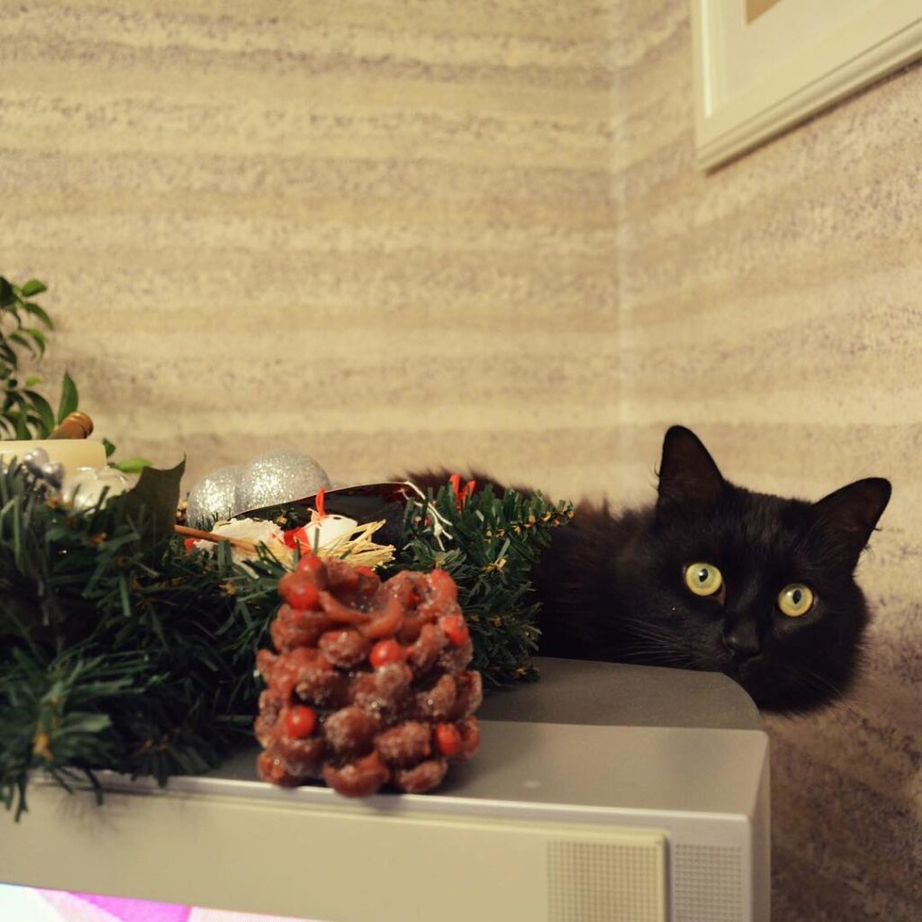 С Новым годом!!! . . #ЧерныйКот #кот #мойкот #черный #инстакот