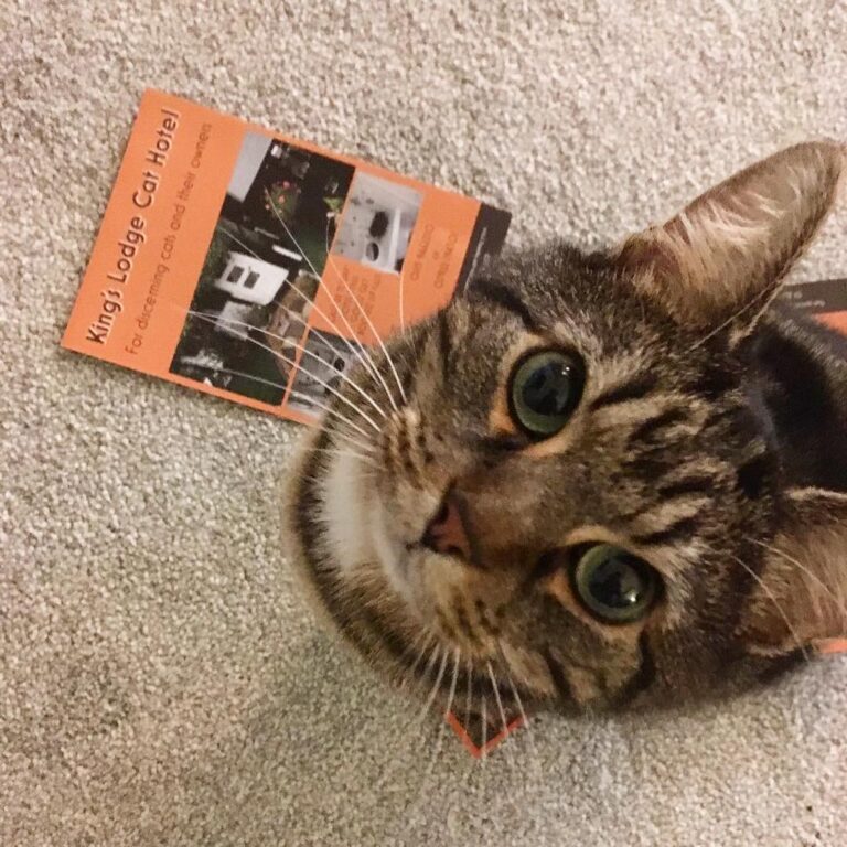 Apparently I’m going on holiday! Just checking out the Brochure and
