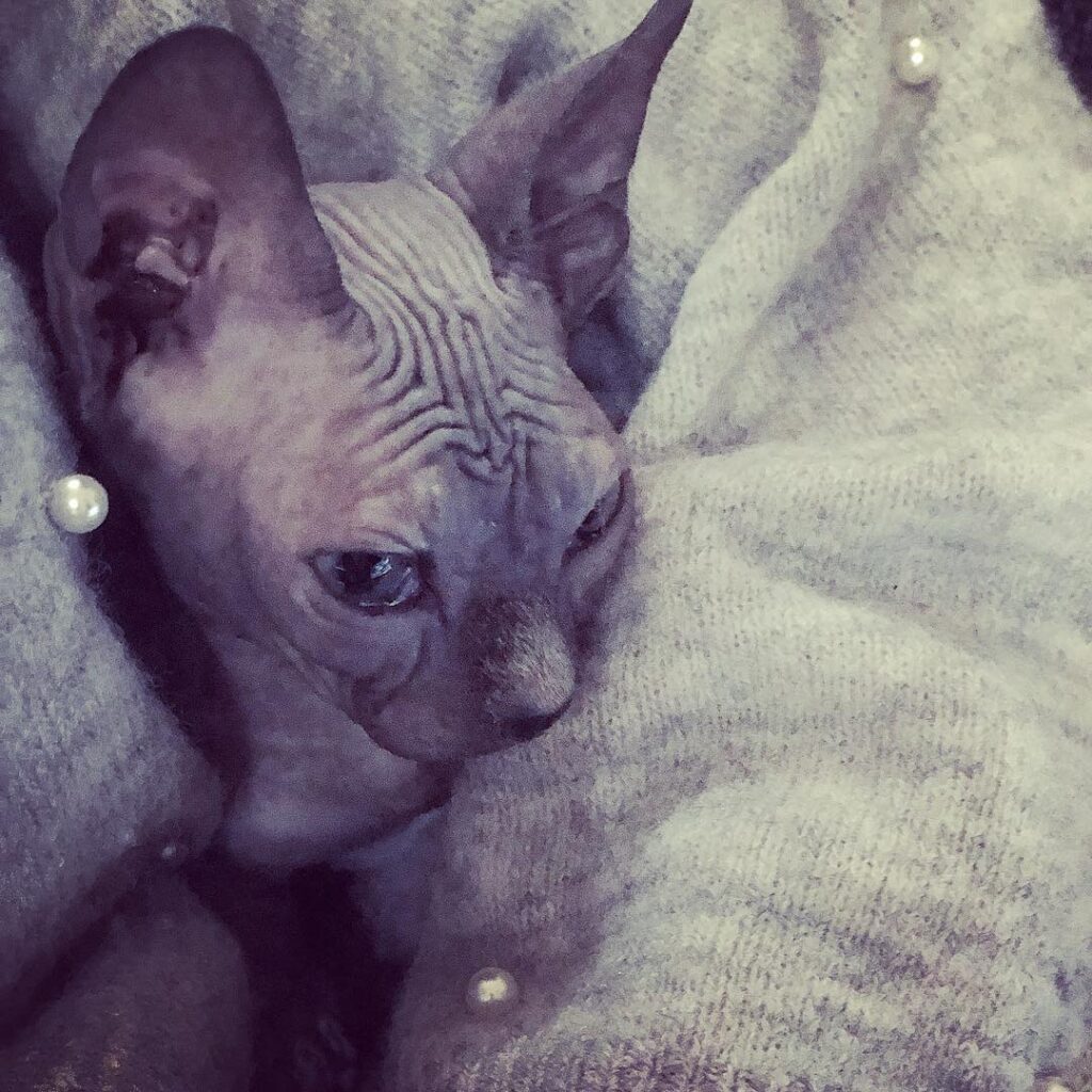 Baby Lucy . . . . .