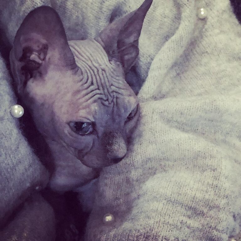 Baby Lucy . . . . .