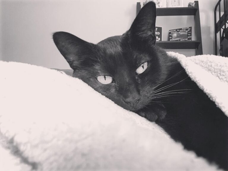 But who will I sit on when you go back to work, Mom? . . .