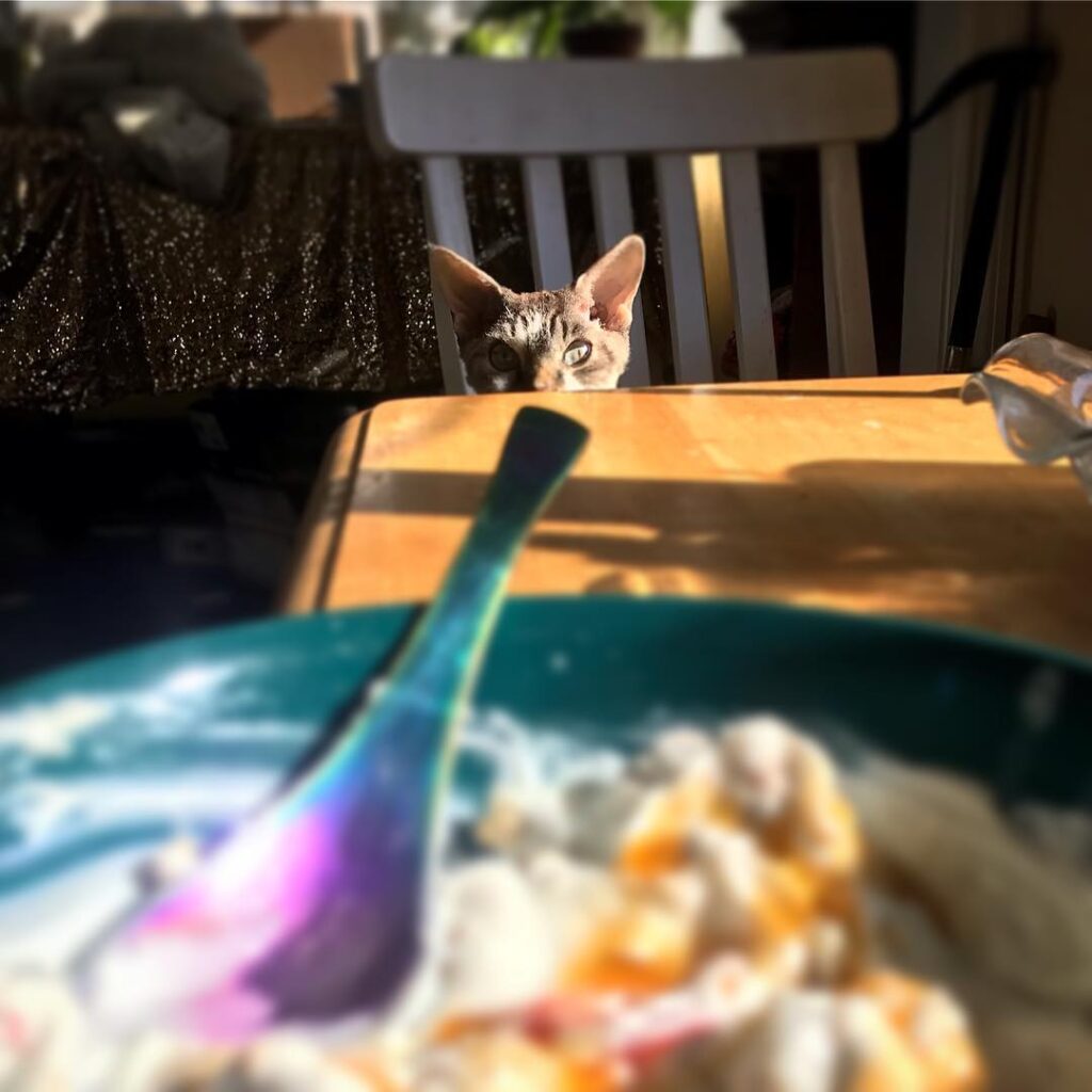 Cooper loves yogurt. • • •