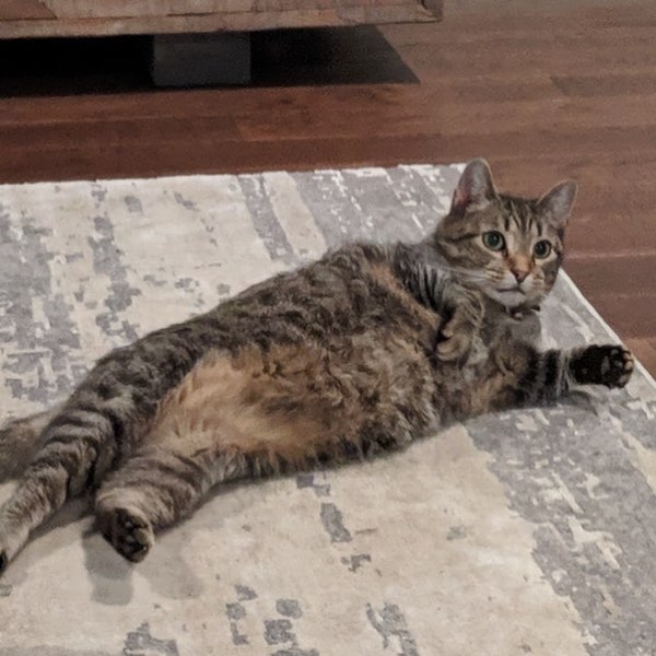 Did someone say CATURDAY . . .