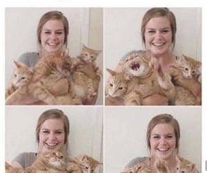 FunnyCatSite