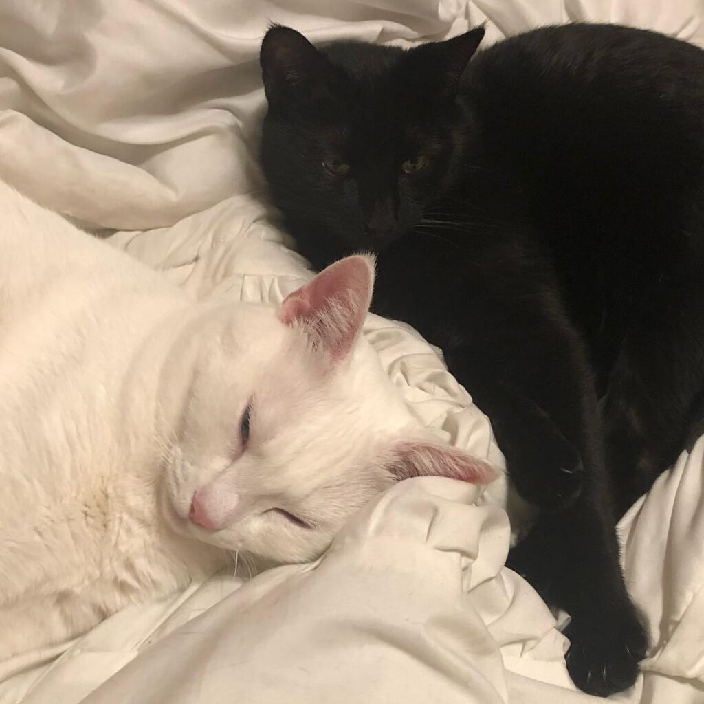 Friends for life