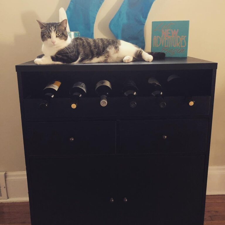 Glad bae likes wine as much as I do