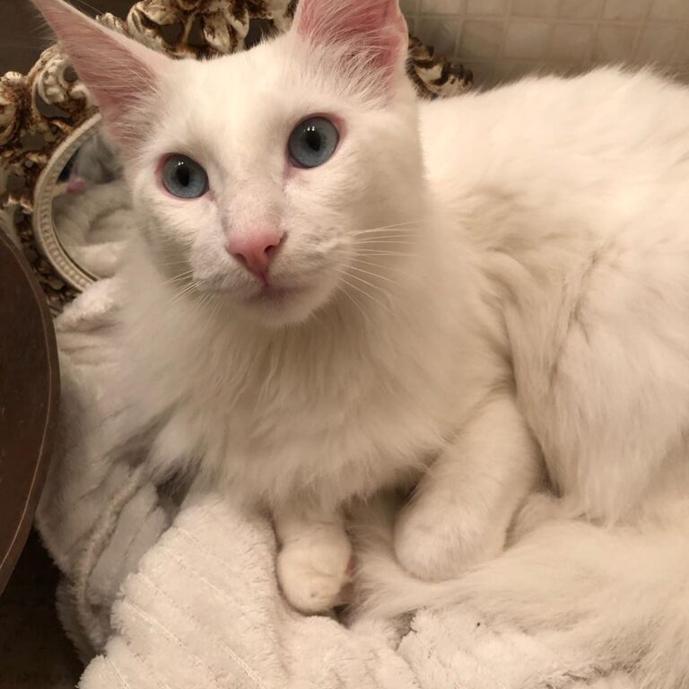 I can’t get enough of his sweet face!