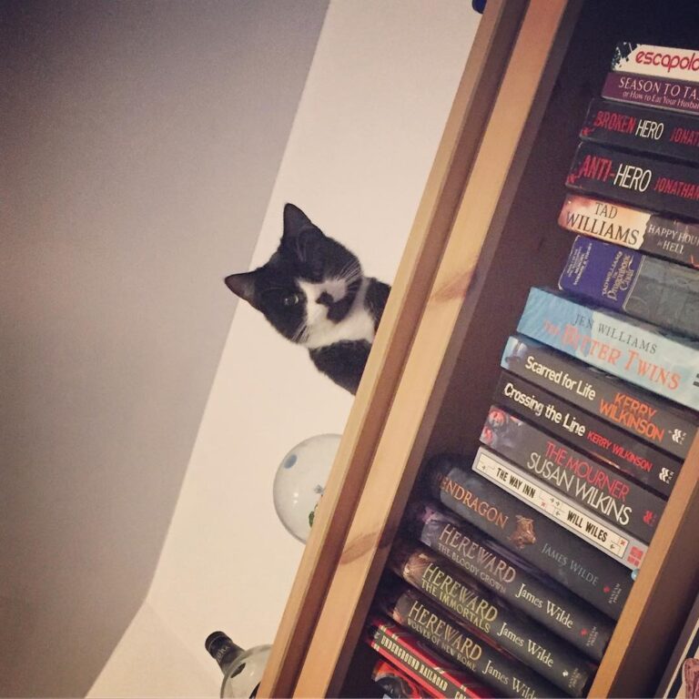 I feel watched
