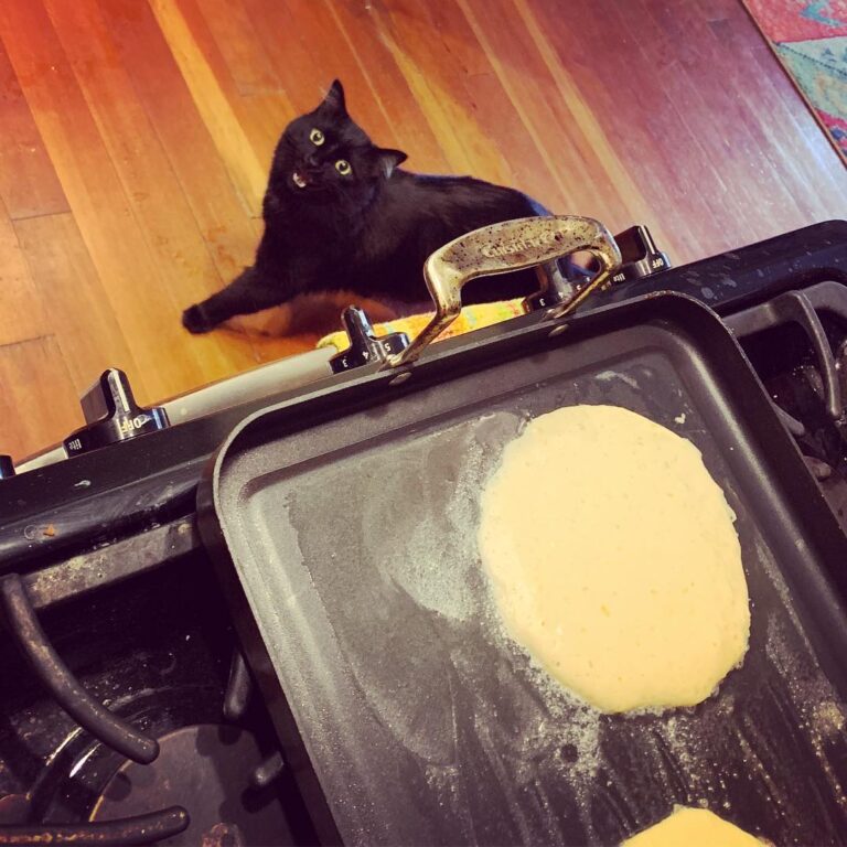 I like pancakes too! . .