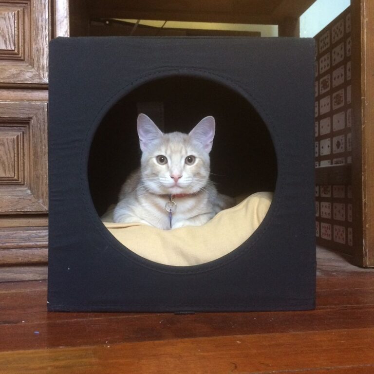 I love my new box!!! yes I have chubby cheeks