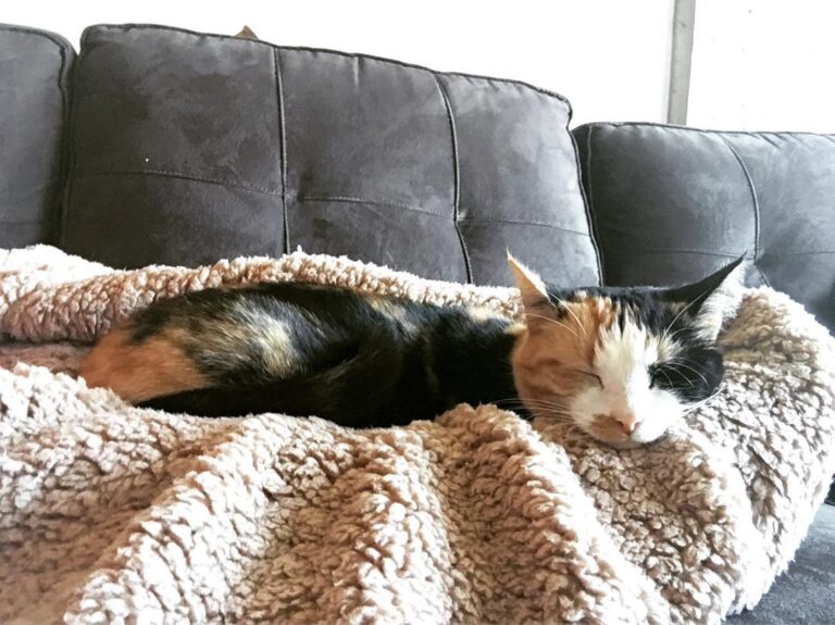 I support both sides of the fuzzy blanket. It doesn’t mean I’m flip