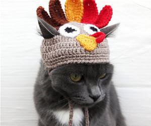 FunnyCatSite