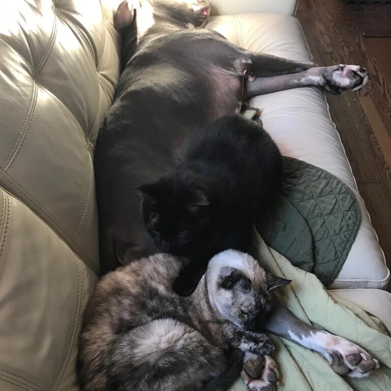 It’s Florida cold again