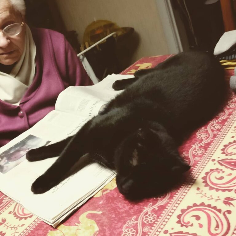 It’s the weekend! Let’s relax while our humans try to read the