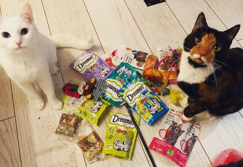 Jewel: We love our Christmas gifts! Thanks everyone