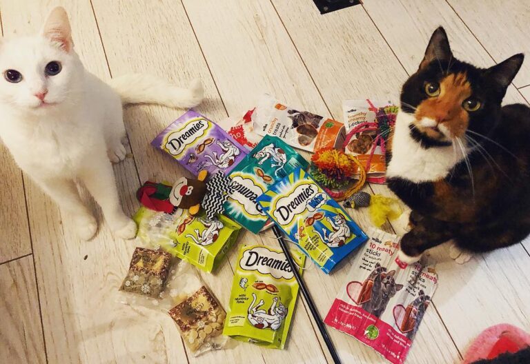 Jewel: We love our Christmas gifts! Thanks everyone
