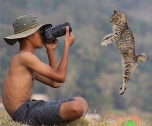 FunnyCatSite
