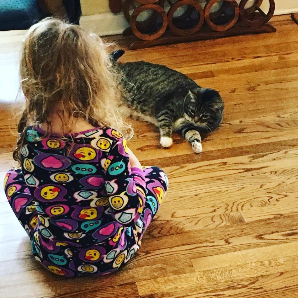 Just some playtime between a girl and her cat!