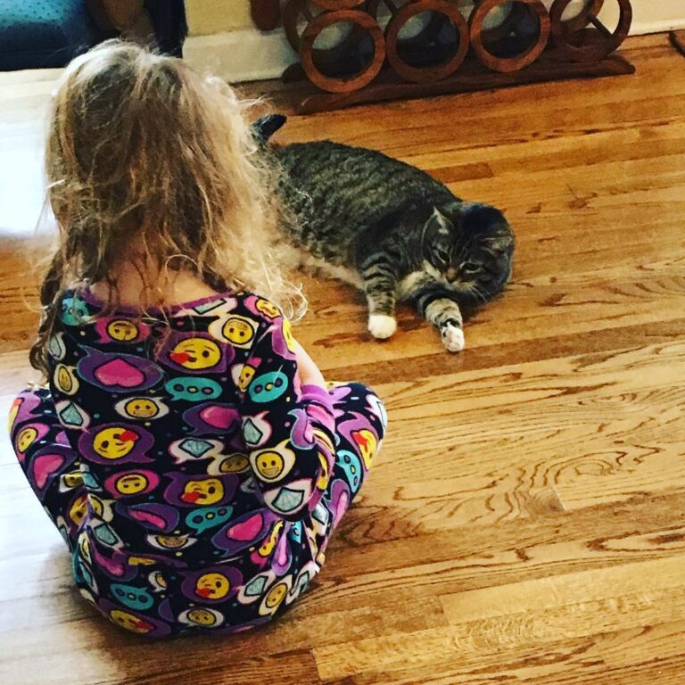 Just some playtime between a girl and her cat!