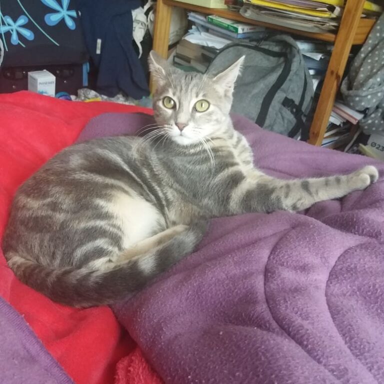 La petite Olga a grandi