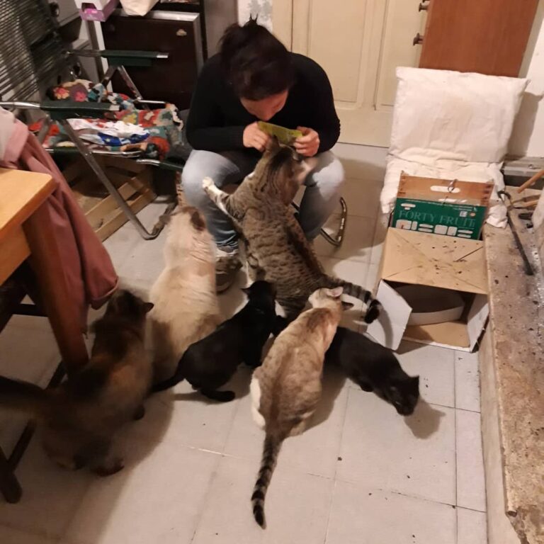 L’amore vero è qualcosa che solo gli animali conoscono veramente