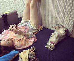FunnyCatSite