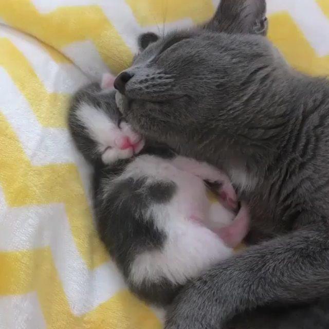 Like Double tap . Credit Unknown DM for Credit Get our cool products