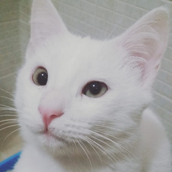 Little brother is getting bigger…and annoying! Always jumping around,