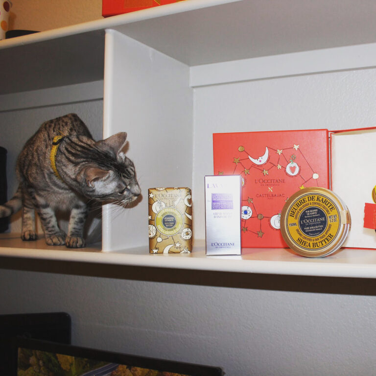 Look who wants in on my shelfie sesh!