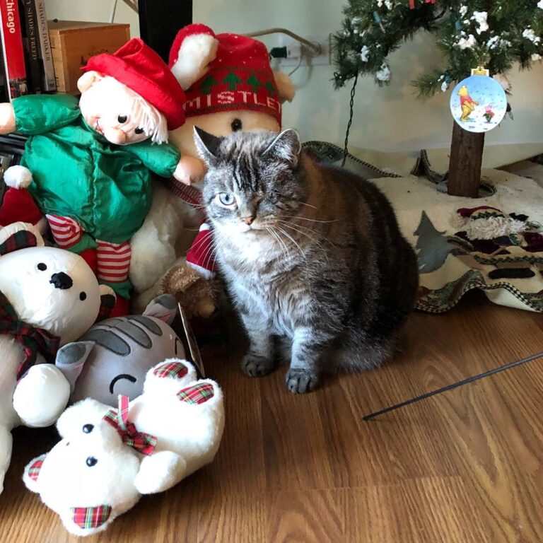 Maybe she won’t notice me. Blend in. Blend in. Hiding from the