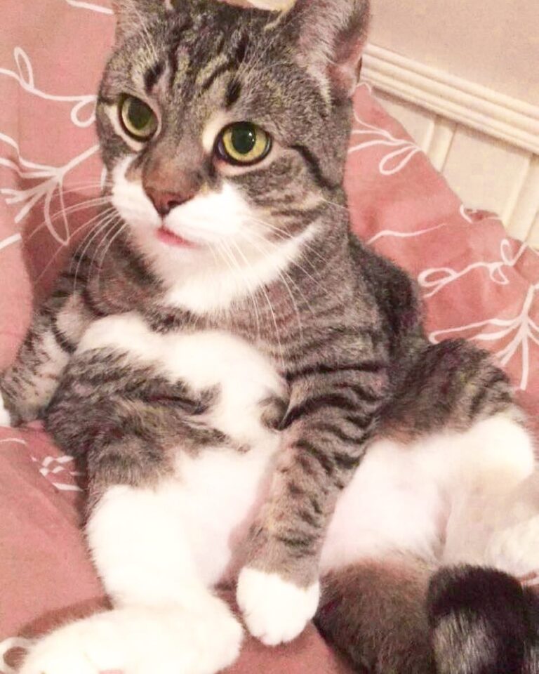 Me trying to sit like a human