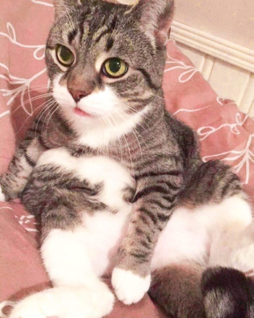 Me trying to sit like a human