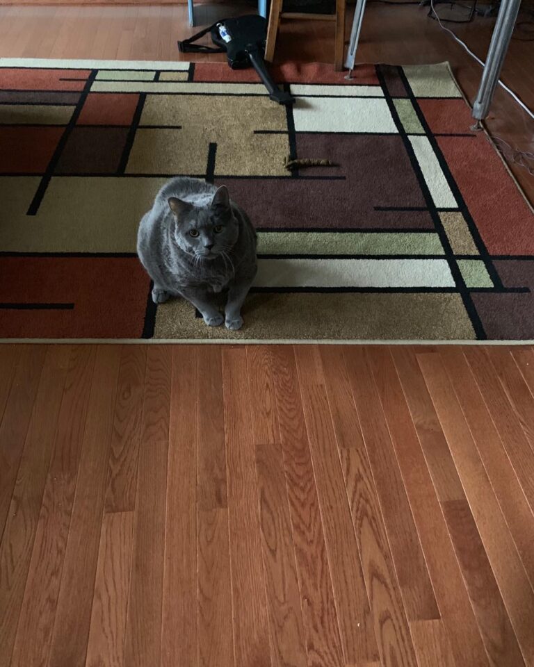 Mom was getting ready for vacation. I will not have it. This is what