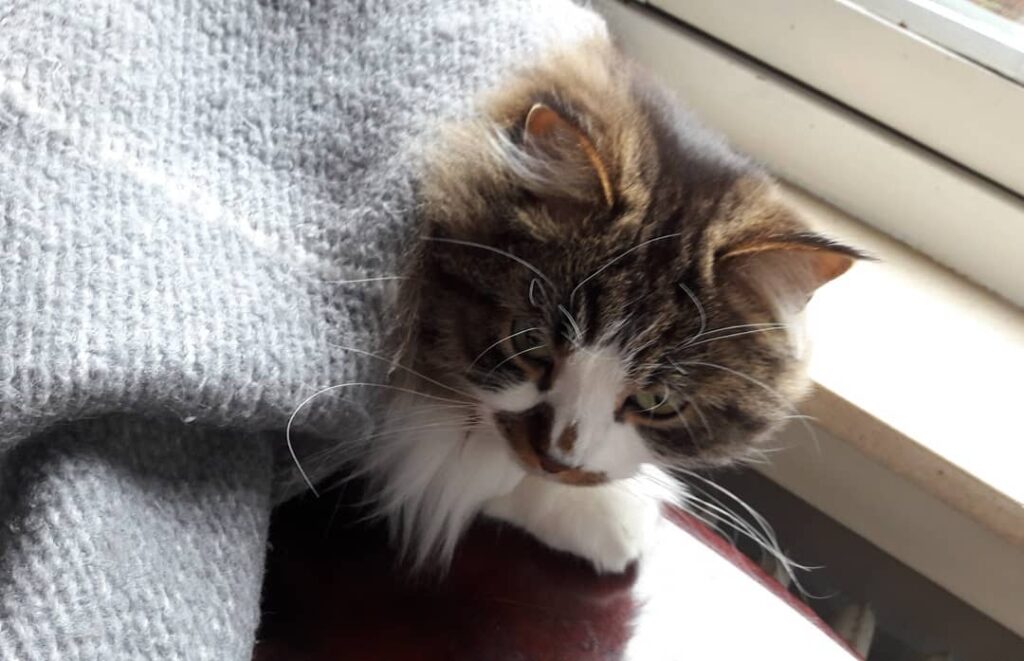 Mon bébé