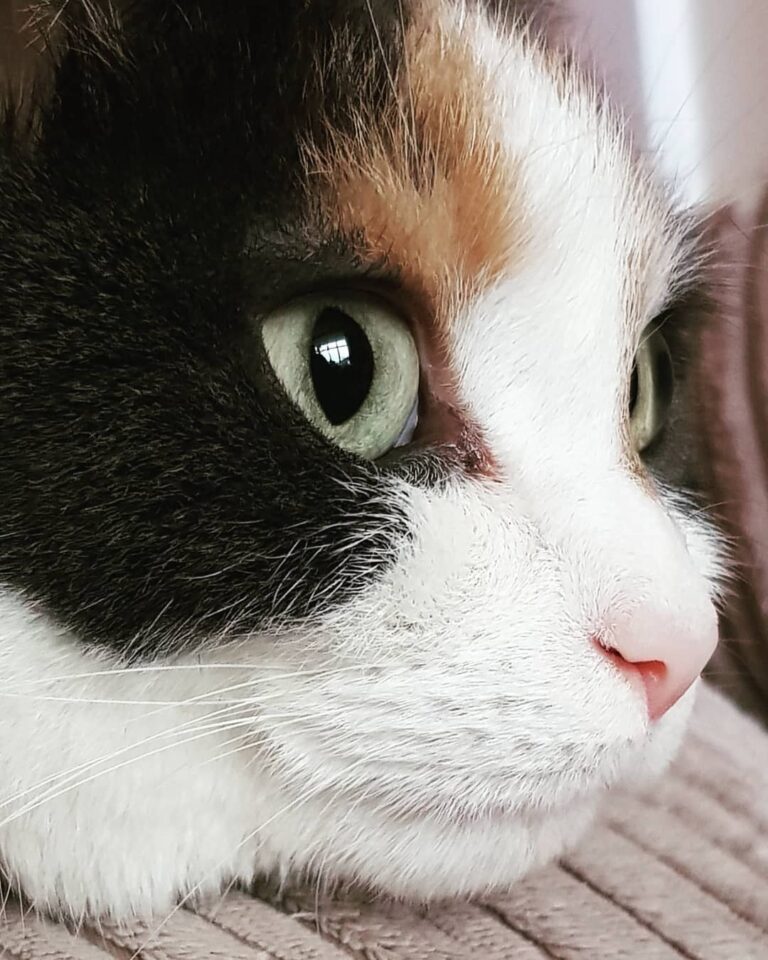 Mummy says im super beautiful , what do you guys think ?