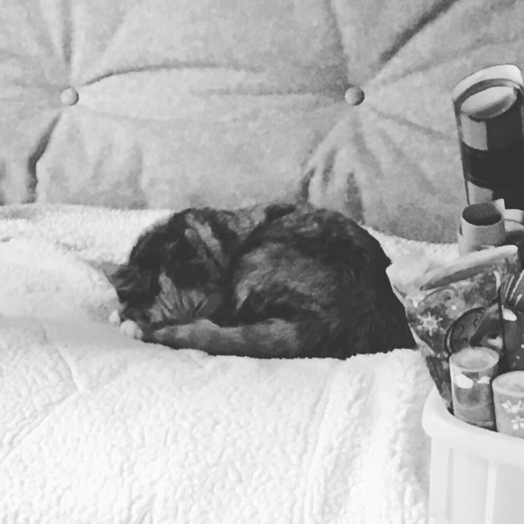 My blanket! . . .