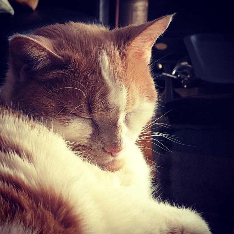 My little old man lookin’ like a little old man. .