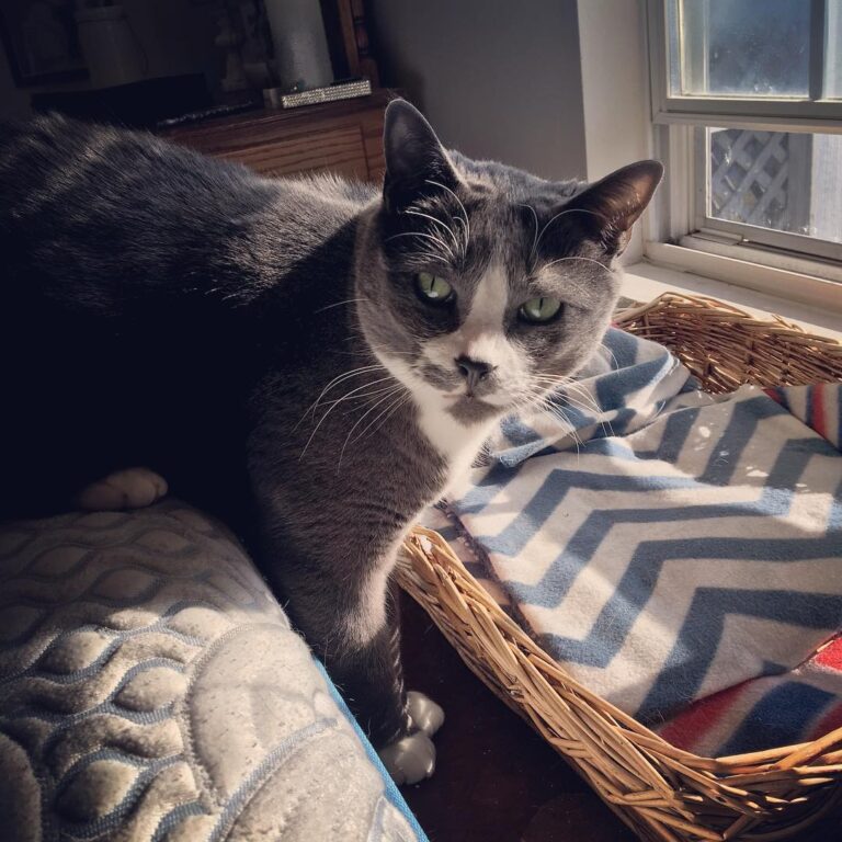 My little one loves the sunshine, just hates me