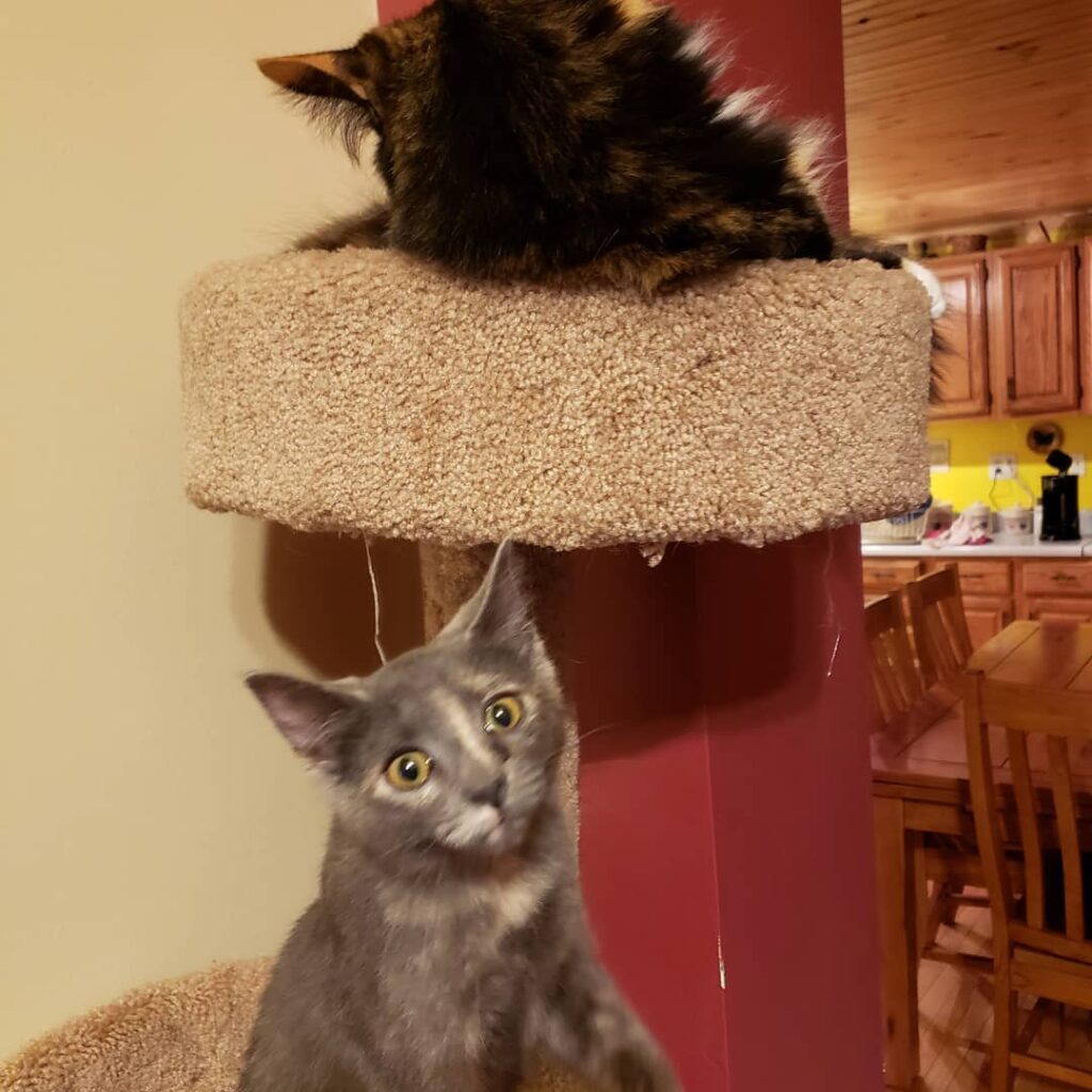 My photogenic babies.